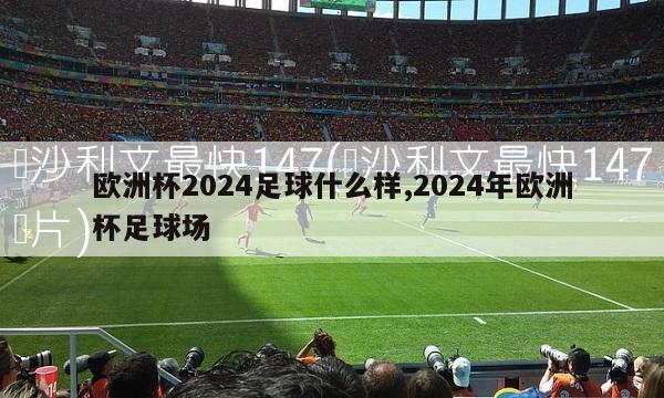 欧洲杯2024足球什么样,2024年欧洲杯足球场