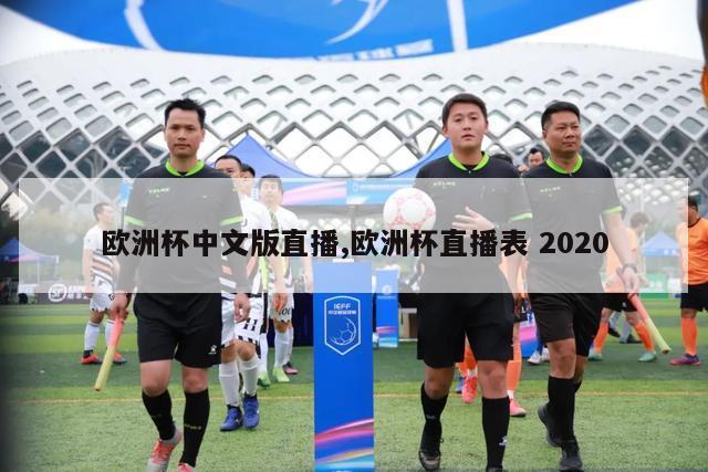 欧洲杯中文版直播,欧洲杯直播表 2020