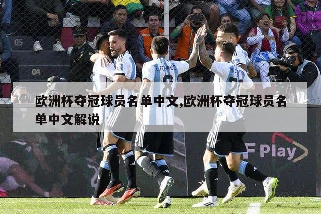 欧洲杯夺冠球员名单中文,欧洲杯夺冠球员名单中文解说