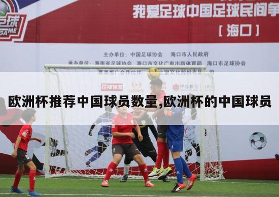 欧洲杯推荐中国球员数量,欧洲杯的中国球员